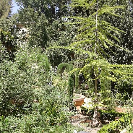 Apartamento Catedral Centro Granada Kültér fotó