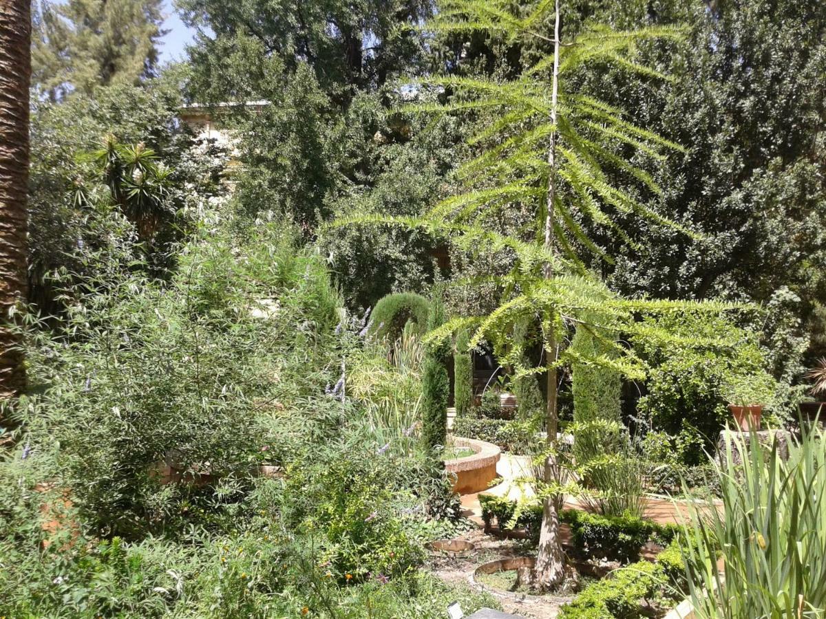Apartamento Catedral Centro Granada Kültér fotó